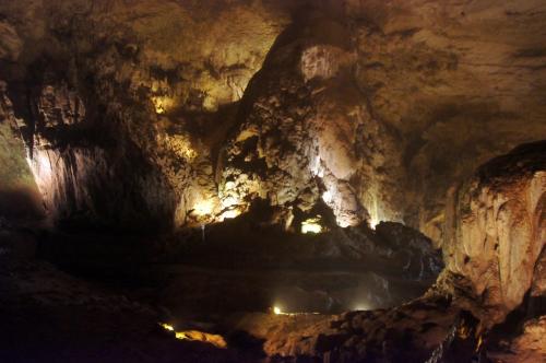 Camuy Caves Puerto Rico (38).JPG