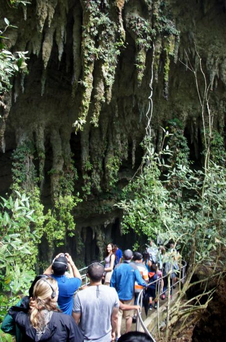 Camuy Caves Puerto Rico (9).JPG
