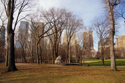 Central Park - NYC (34).JPG