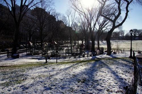 Central Park - NYC (6).JPG
