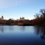 Central Park : New York City