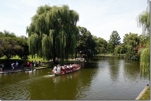 Boston Common Park (10)