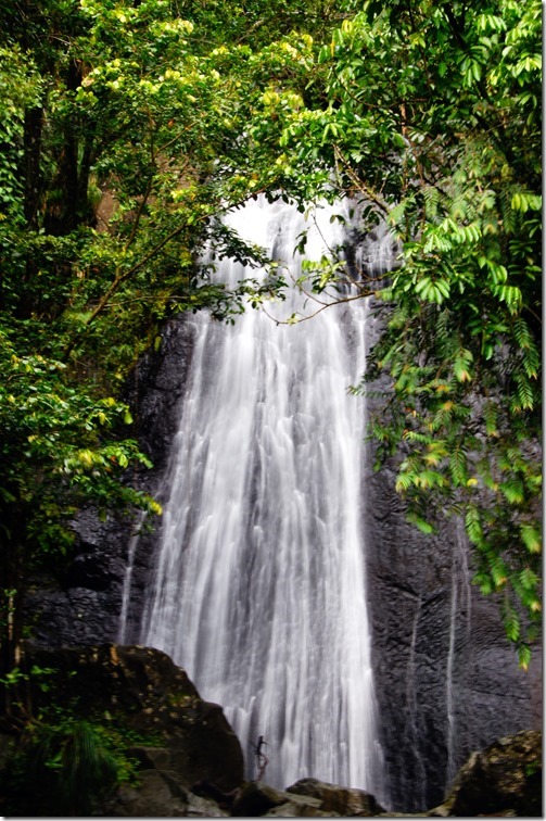 El Yunque Rain Forest-020