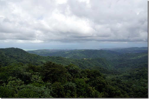 El Yunque Rain Forest-022
