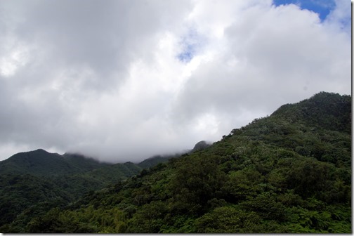 El Yunque Rain Forest-026