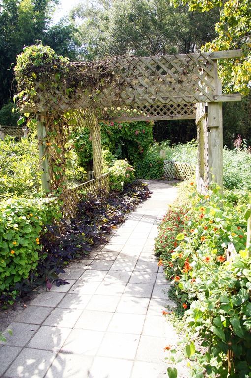 Kanapaha Botanical Gardens : Gainesville, Florida | Visions of Travel