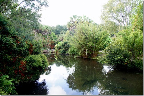 Kanapaha Botanical Gardens (72)