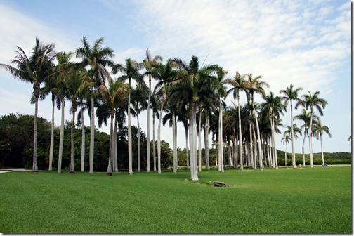 The Deering Estate - Miami (23)