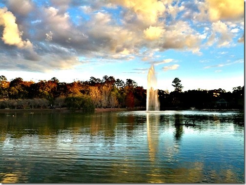 Lake Ella Tallahassee (2)