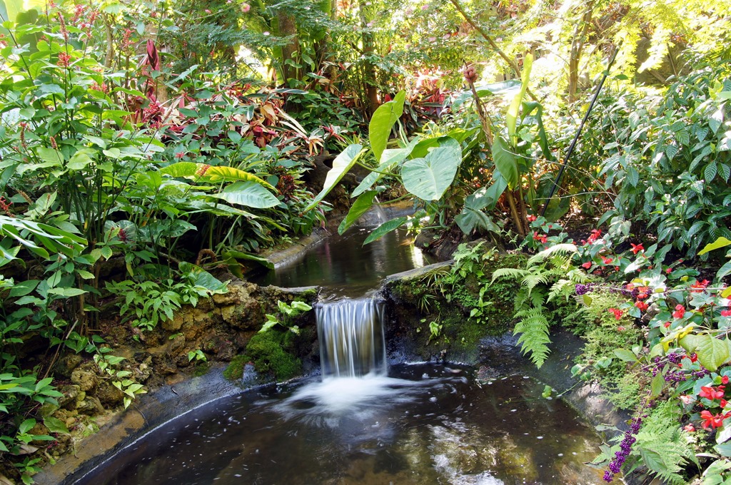 Sunken Gardens : Saint Petersburg – Florida | Visions of Travel