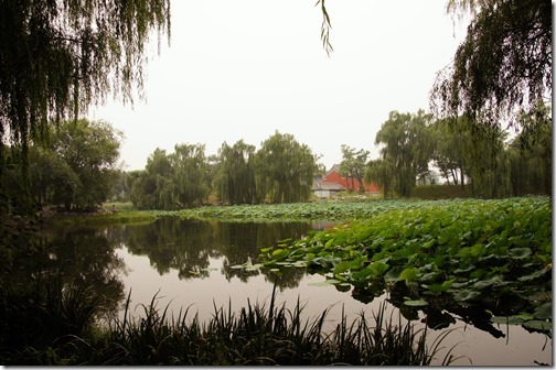 Yuan Ming Yuan - Imperial Gardens - Beijing (14)