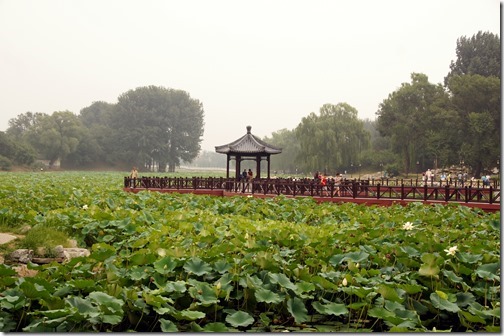 Yuan Ming Yuan - Imperial Gardens - Beijing (26)