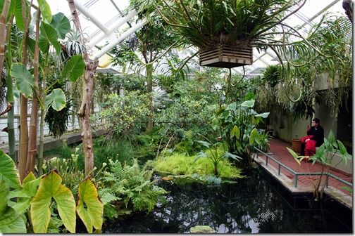 Brooklyn Botanical Gardens (6)