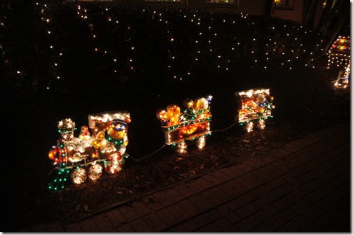 Christmas lights in Tallahassee (10)