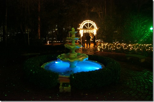 Christmas lights in Tallahassee (18)