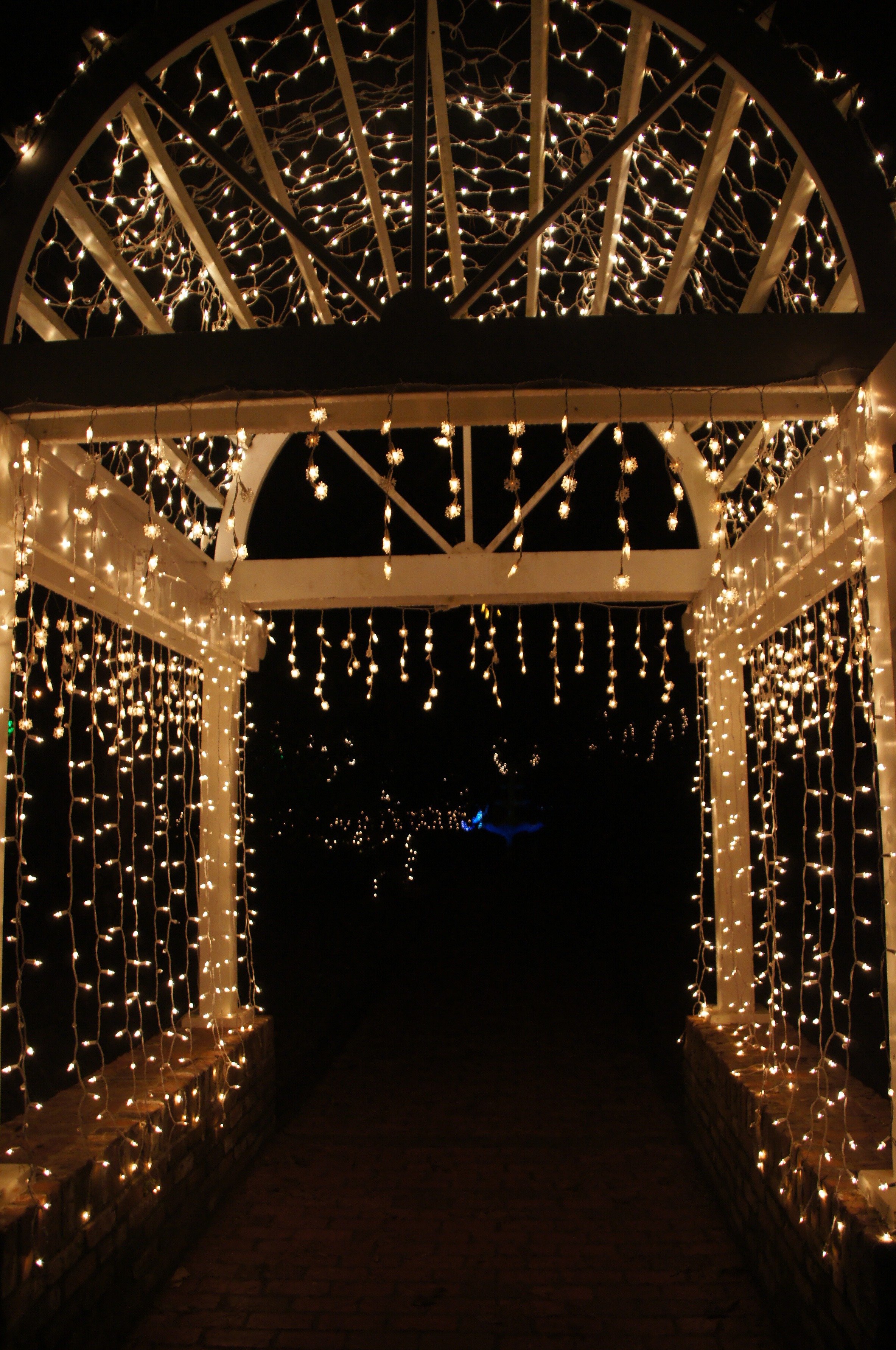 Christmas lights in Tallahassee Visions of Travel