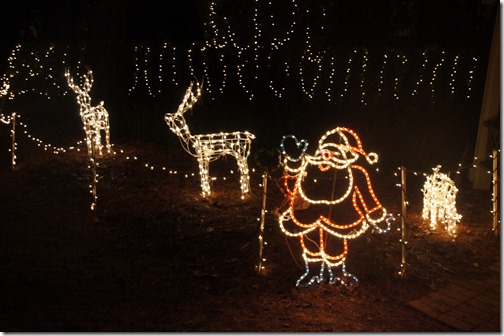 Christmas lights in Tallahassee (23)