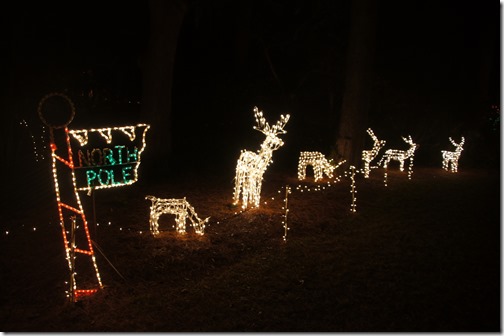 Christmas lights in Tallahassee (24)