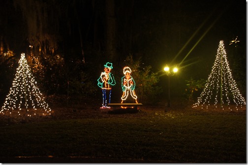 Christmas lights in Tallahassee (25)