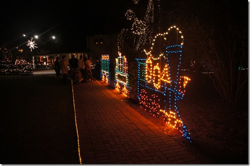 Christmas lights in Tallahassee (26)