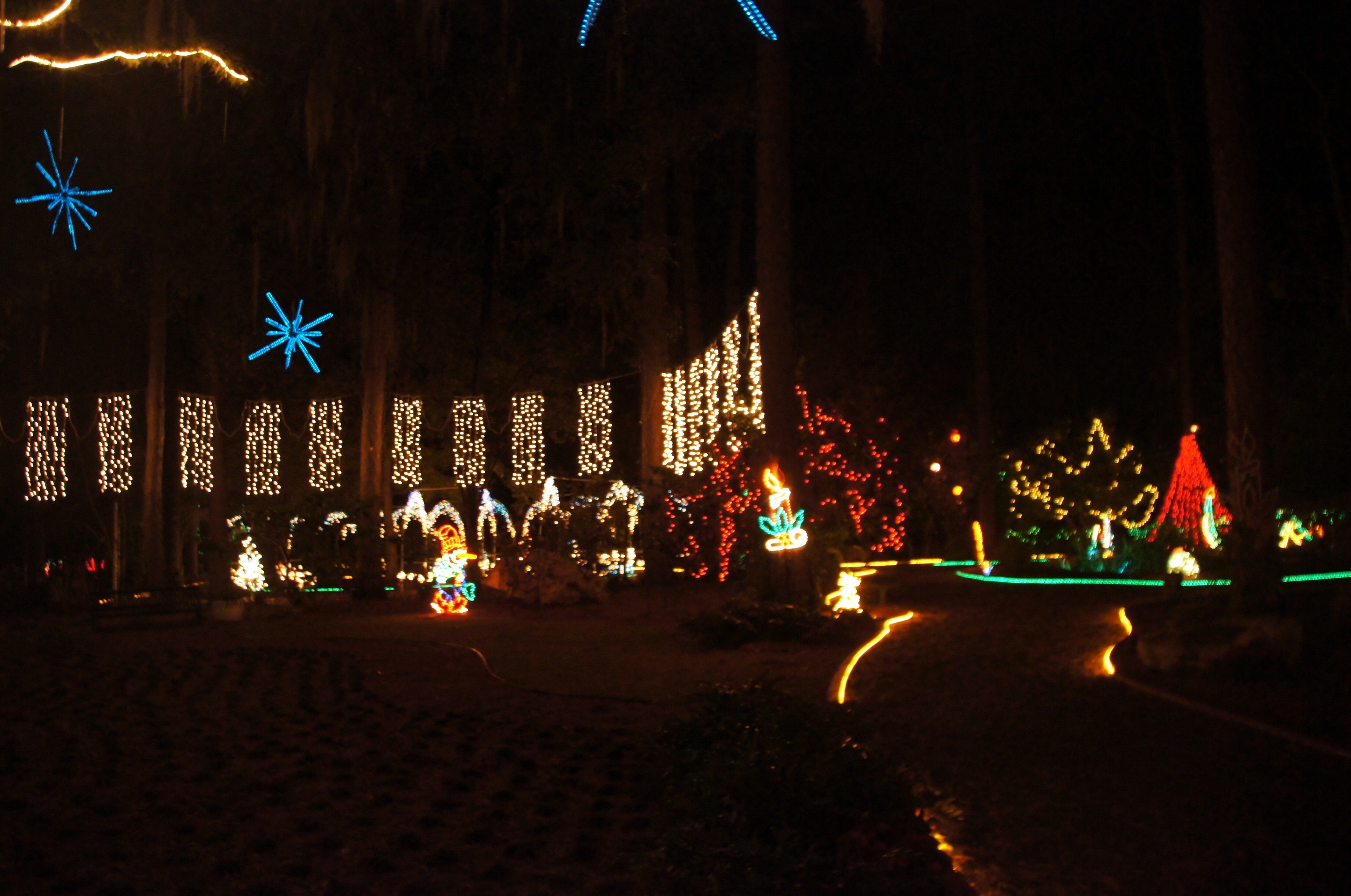 Christmas lights in Tallahassee Visions of Travel