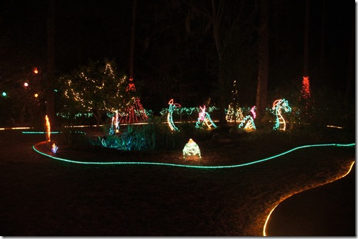 Christmas lights in Tallahassee (28)