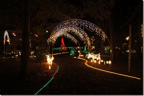 Christmas lights in Tallahassee (31)