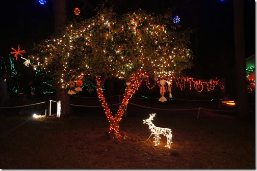Christmas lights in Tallahassee (3)