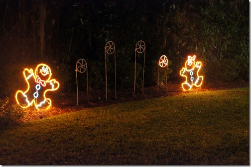 Christmas lights in Tallahassee (6)