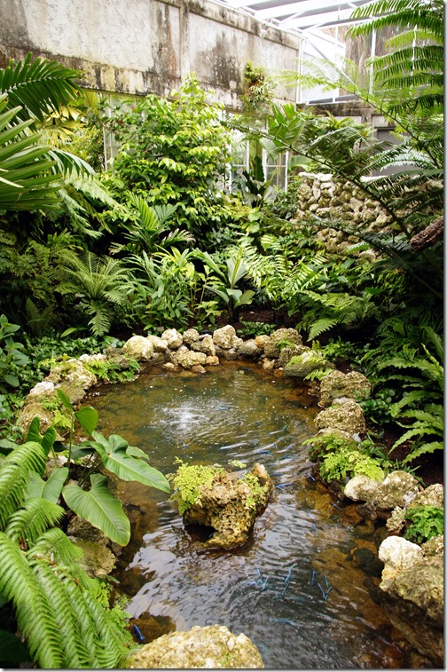 Fairchild Tropical Botanical Gardens - Miami (127)