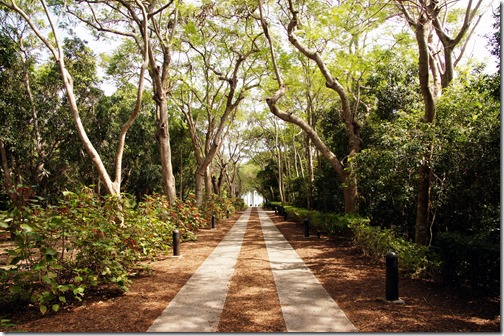 Fairchild Tropical Botanical Gardens - Miami (129)