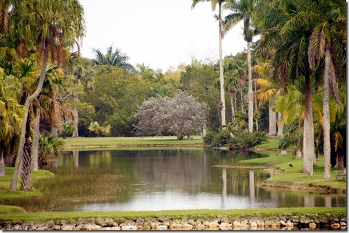 Fairchild Tropical Botanical Gardens - Miami (35)