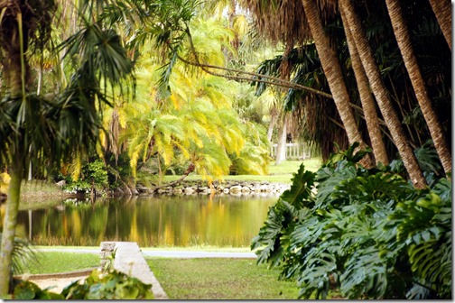 Fairchild Tropical Botanical Gardens - Miami (36)