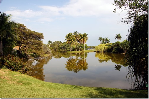 Fairchild Tropical Botanical Gardens - Miami (3)