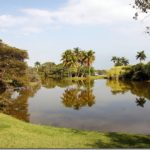 Fairchild Tropical Botanical Gardens : Miami