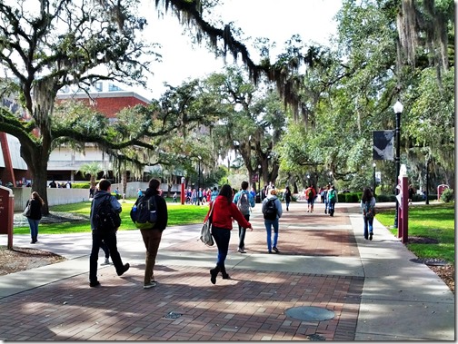 Florida State University Campus (18)