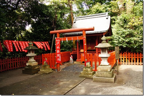 Tsurugaoka Hachimangu Shrine  Kamakora Japan (19)