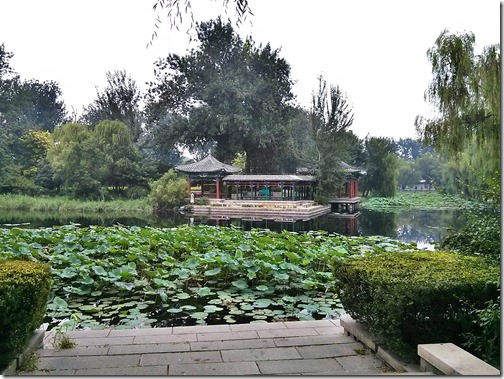 Tsinghua University Campus Beijing (52)