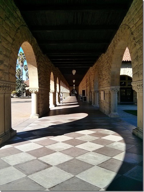 Stanford Campus  California (14)