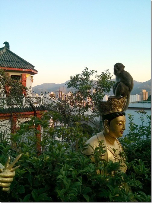 10000 buddhas temple Sha Tin HK (35)