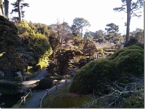 Japanese Tea Garden - Golden Gate Park - San Francisco (16)