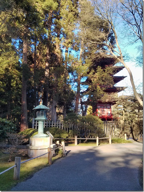 Japanese Tea Garden - Golden Gate Park - San Francisco (18)