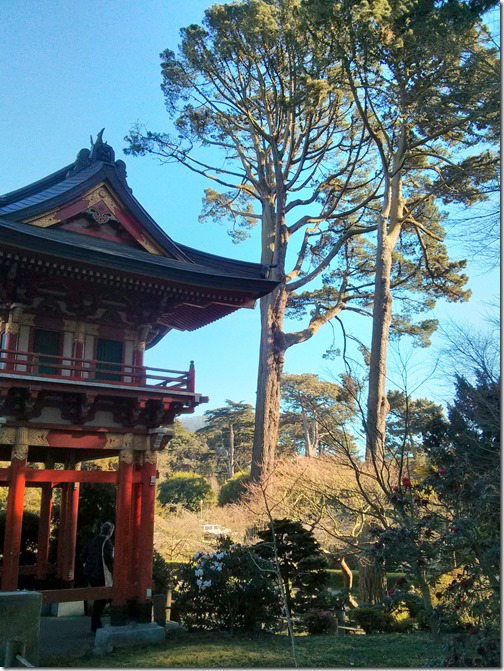 Japanese Tea Garden - Golden Gate Park - San Francisco (21)