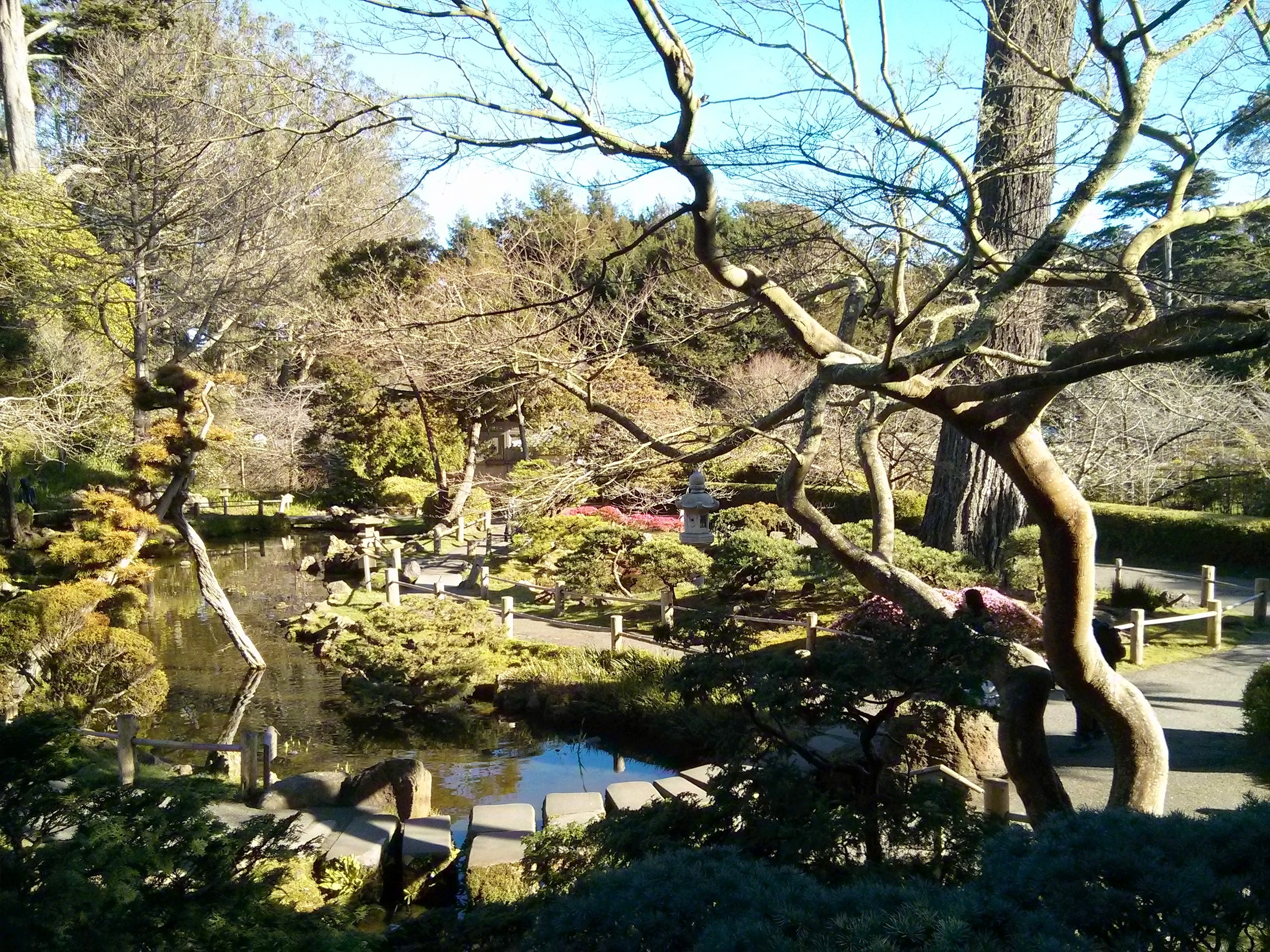 Japanese Tea Garden at Golden Gate Park : San Francisco | Visions of Travel