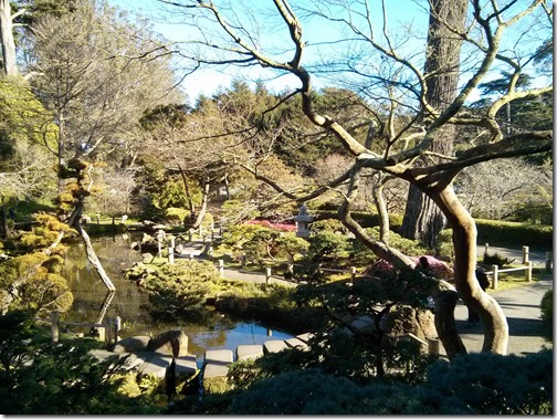 Japanese Tea Garden - Golden Gate Park - San Francisco (23)