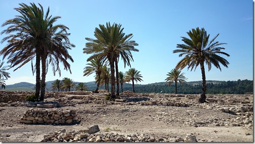 Tel Megido Northern Israel (23)
