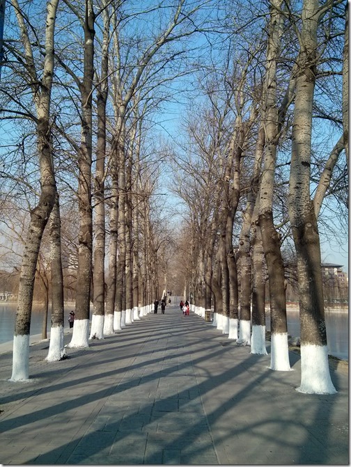 Yuyuantan Park Beijing (16)