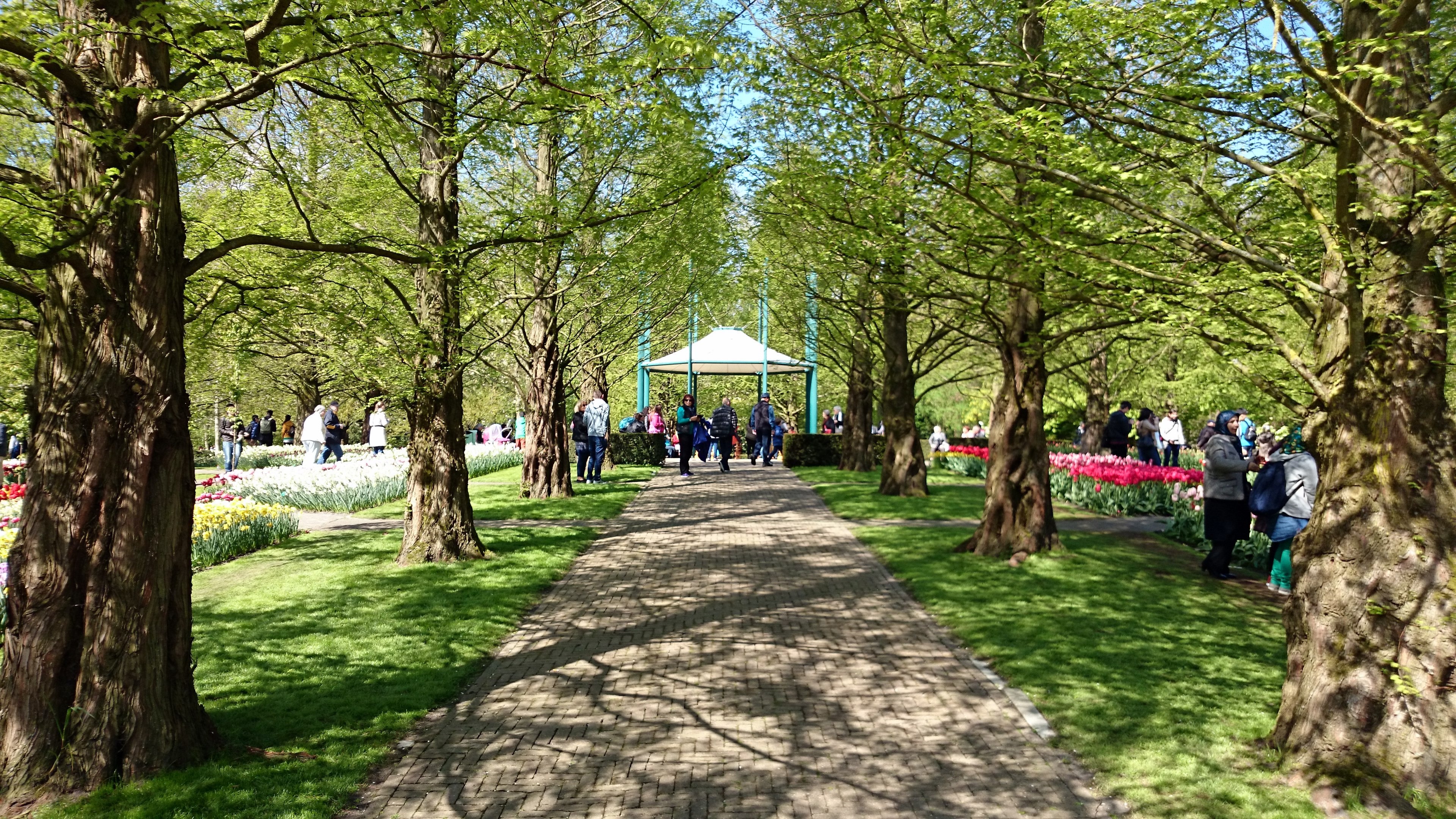 Keukenhof Flower Gardens : Lisse – Netherlands | Visions of Travel