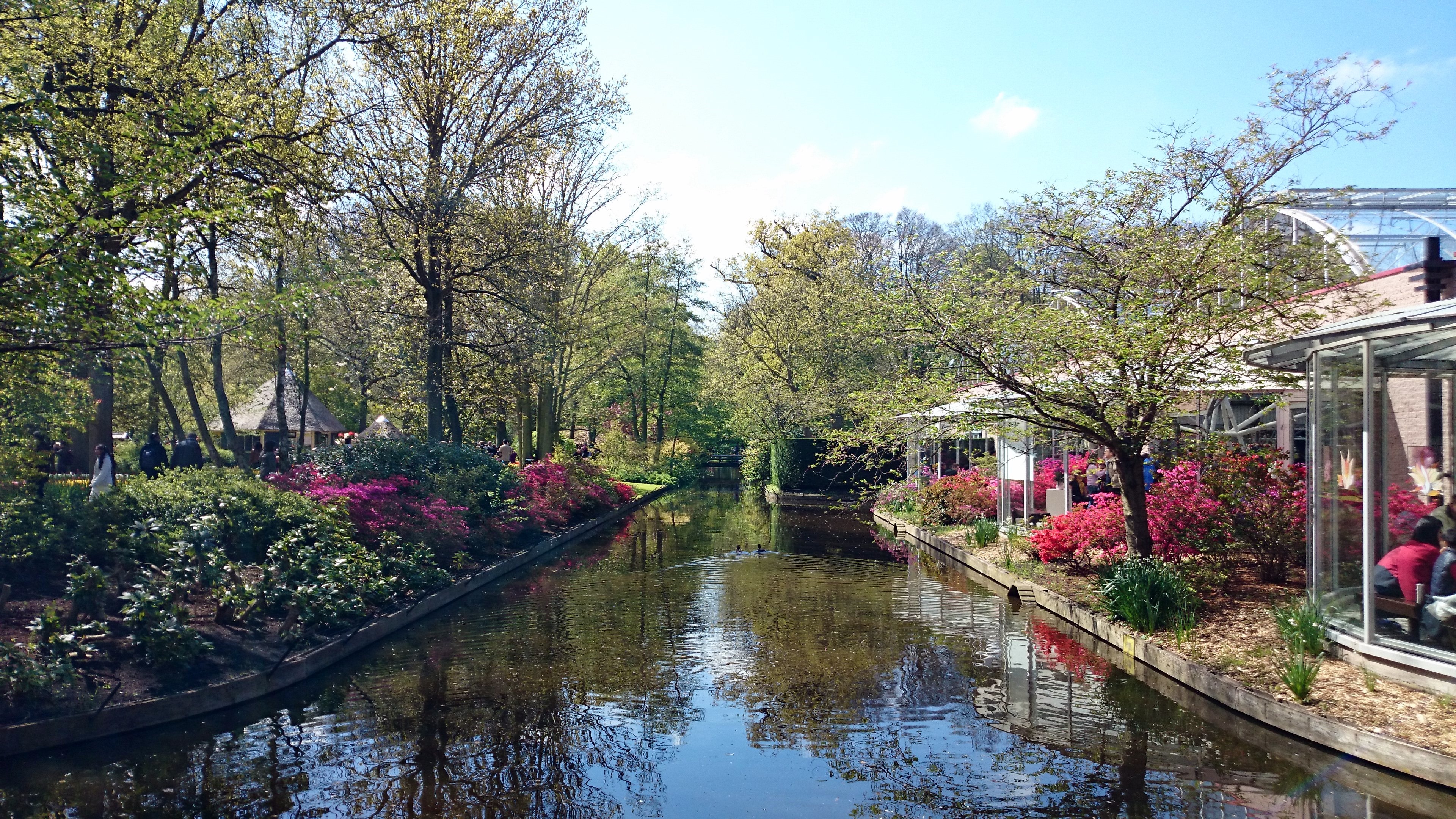 Keukenhof Flower Gardens : Lisse – Netherlands | Visions ...

