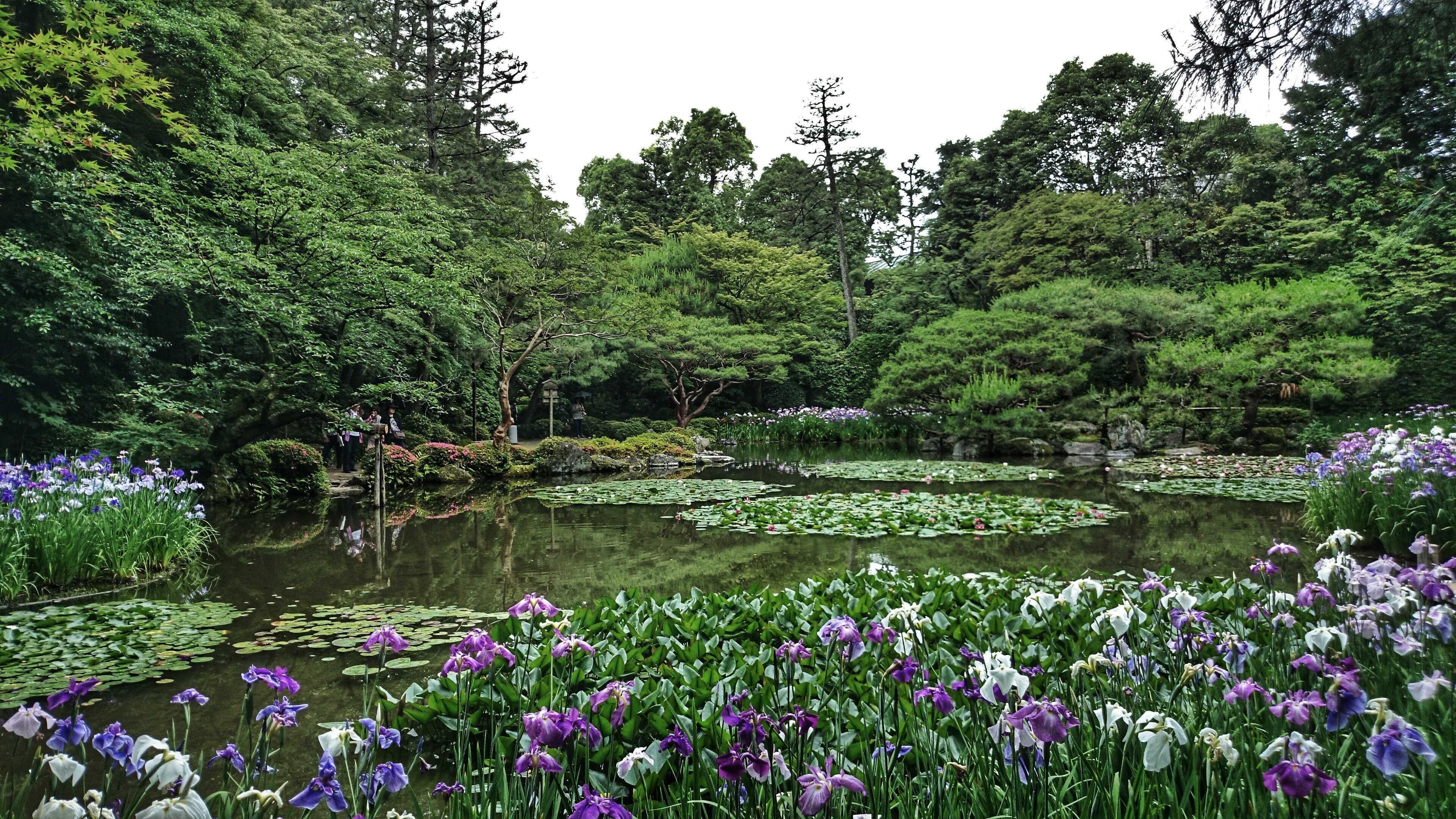 Visions of Kyoto : Japan | Visions of Travel